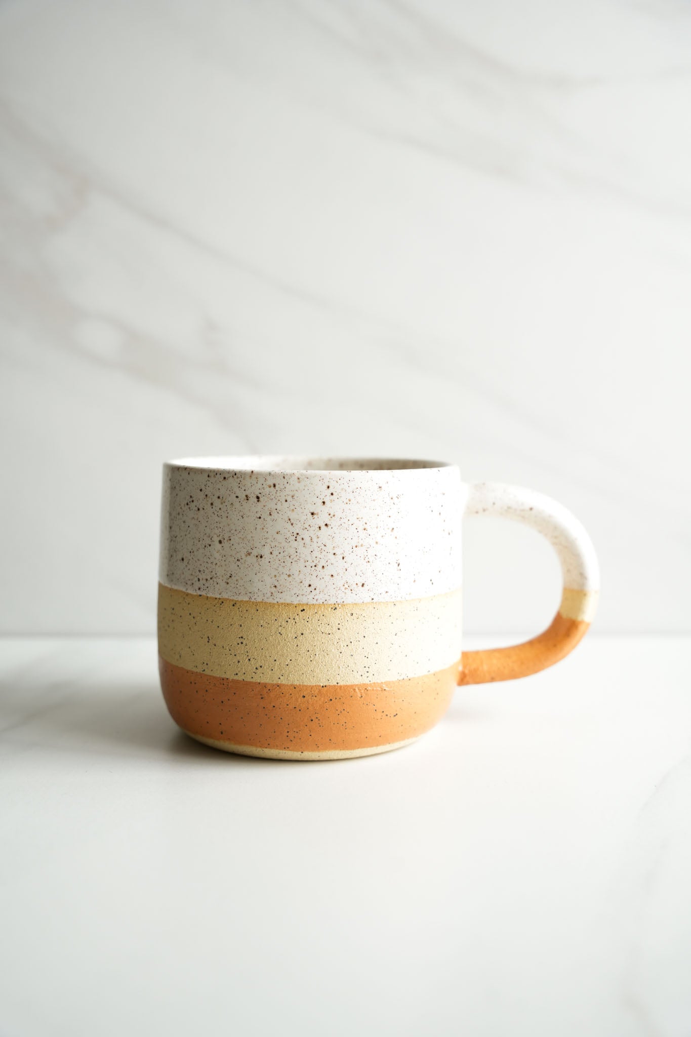 Desert Stripe Mug
